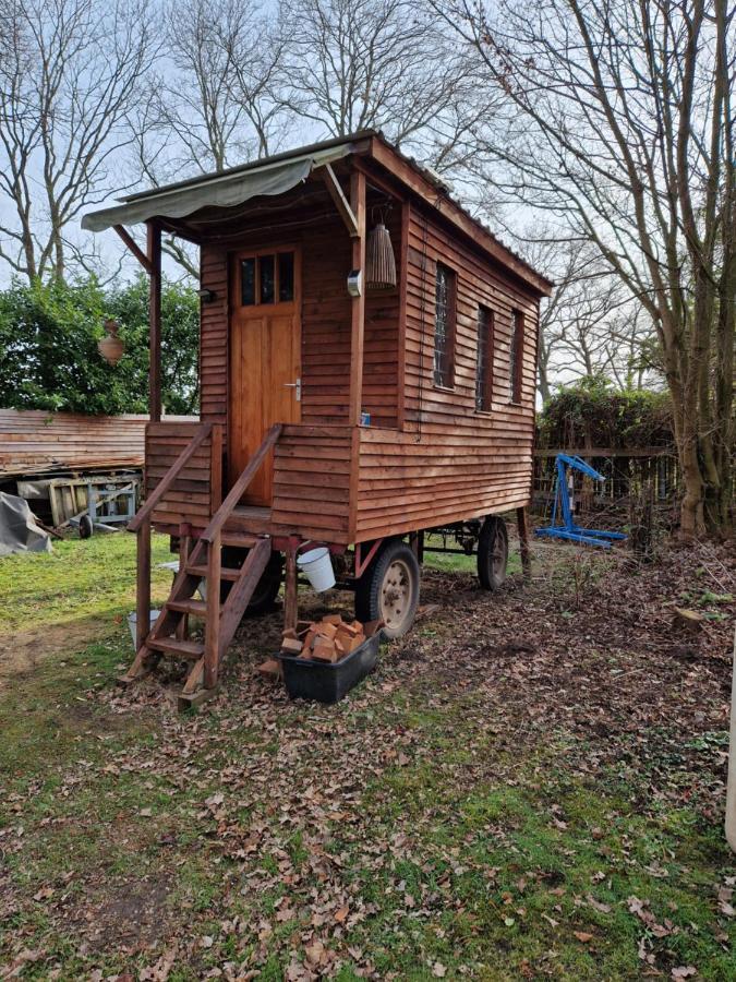 Chalet In Paradise Garden Velden ภายนอก รูปภาพ